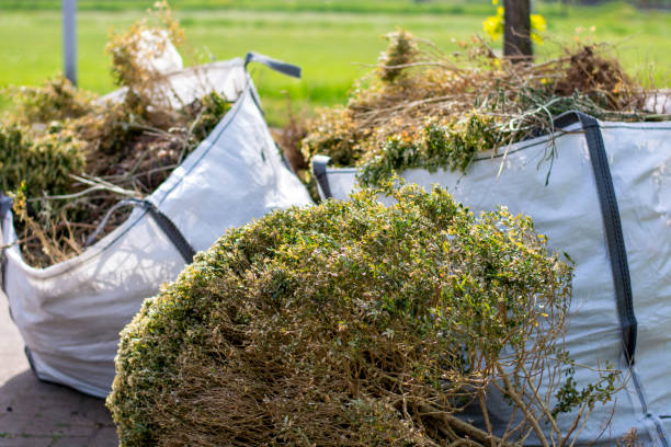 Retail Junk Removal in Hollister, MO